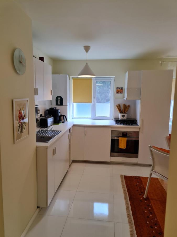 Apartamentul Alb Buşteni Extérieur photo