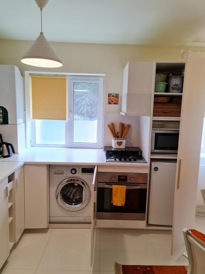 Apartamentul Alb Buşteni Extérieur photo
