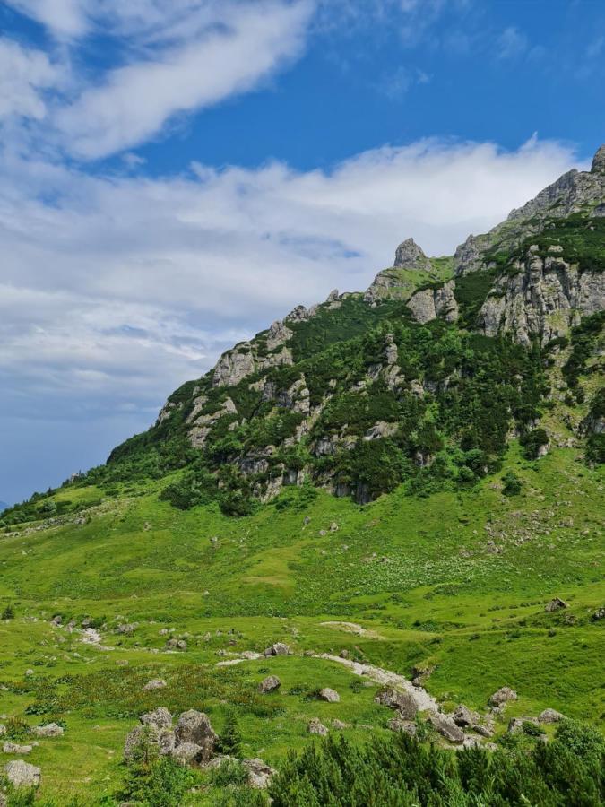 Apartamentul Alb Buşteni Extérieur photo
